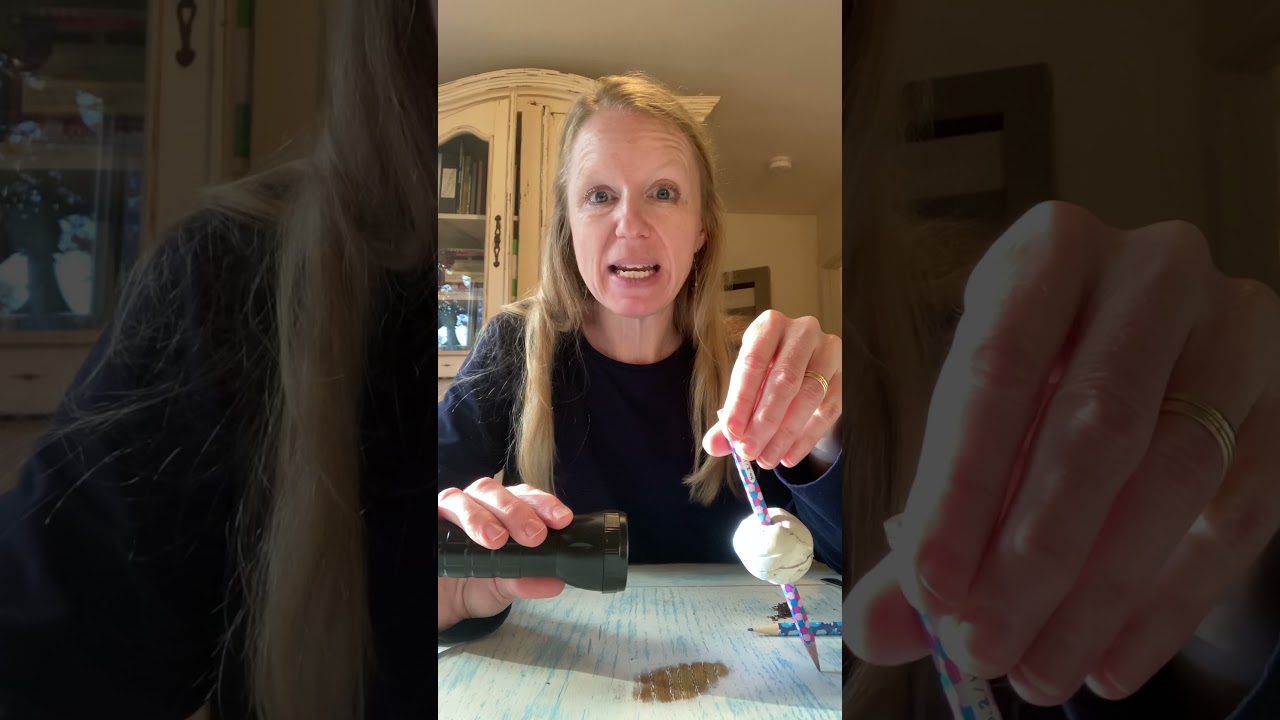 Classical Conversations Cycle 1 Science Experiment Week 13