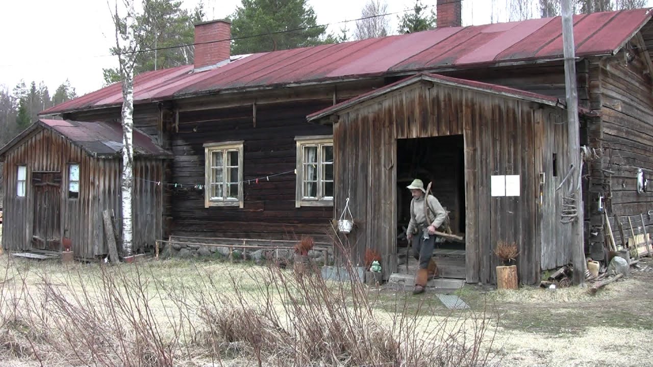 Reino Halin - mets&auml;perinteen taitaja. Johdanto: Lentoj&auml;tk&auml; Reino Halin