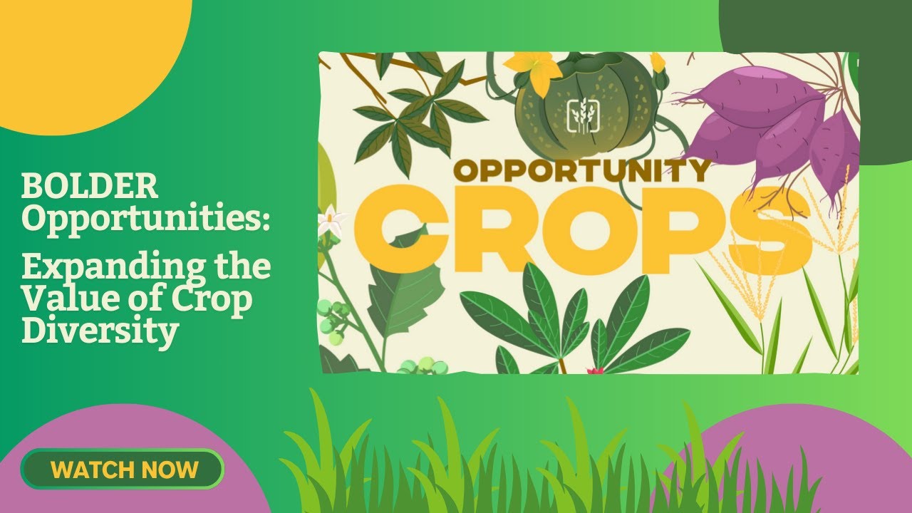 BOLDER Opportunities: Expanding the Value of Crop Diversity