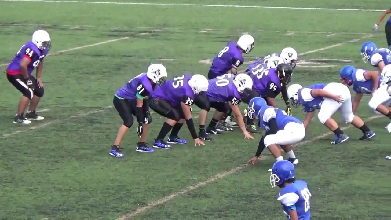 Andres Guzman QB