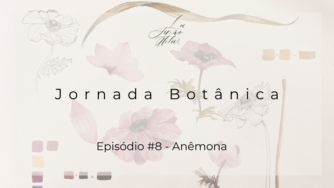 Jornada Botânica episódio #8 - Anêmona