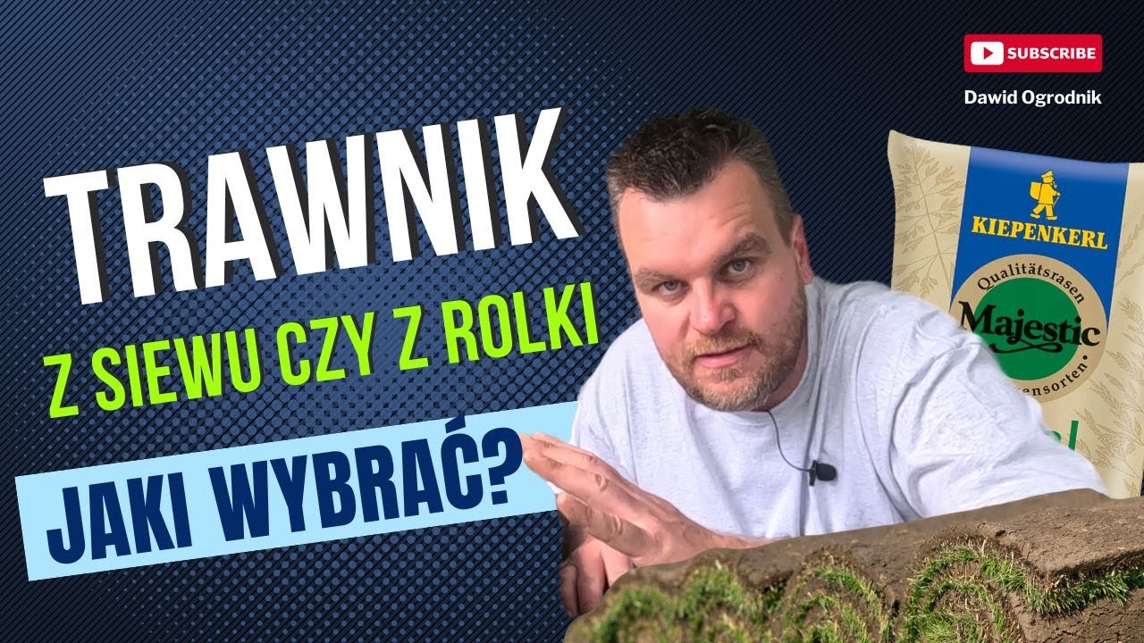 Trawnik z siewu czy z rolki? - jaki wybrać?