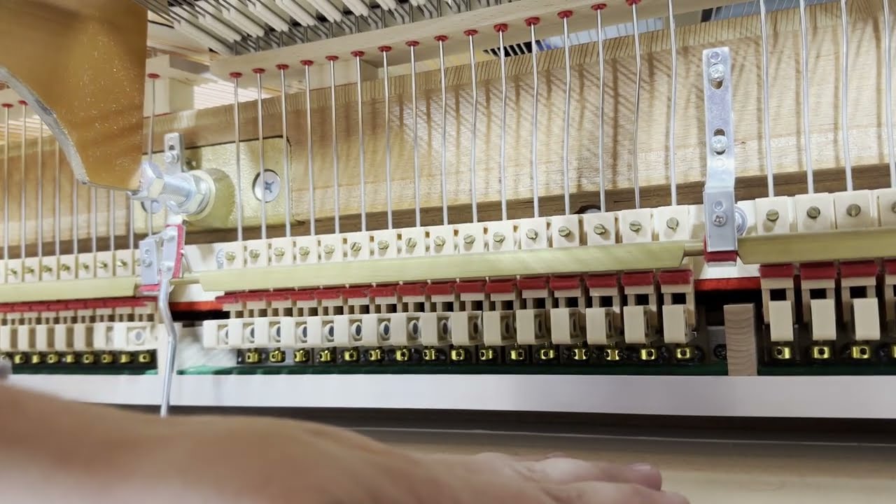 Sostenuto Pedal Explained Piano Technician