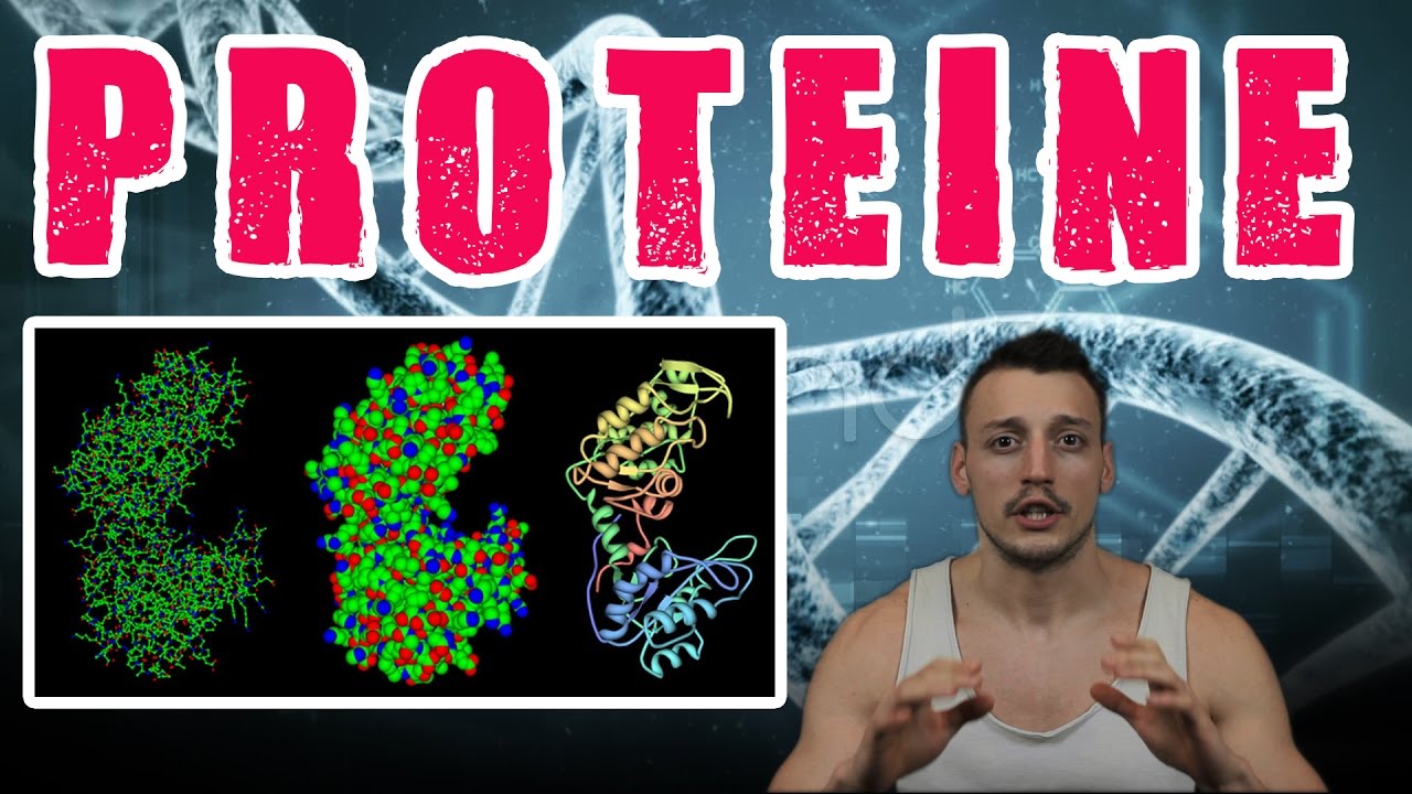 Proteine si Aminoacizi | Ep #05
