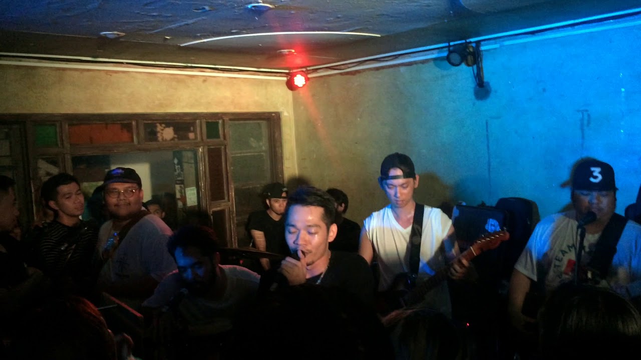 Could Have Been - Jensen and The Flips  #tygnyt