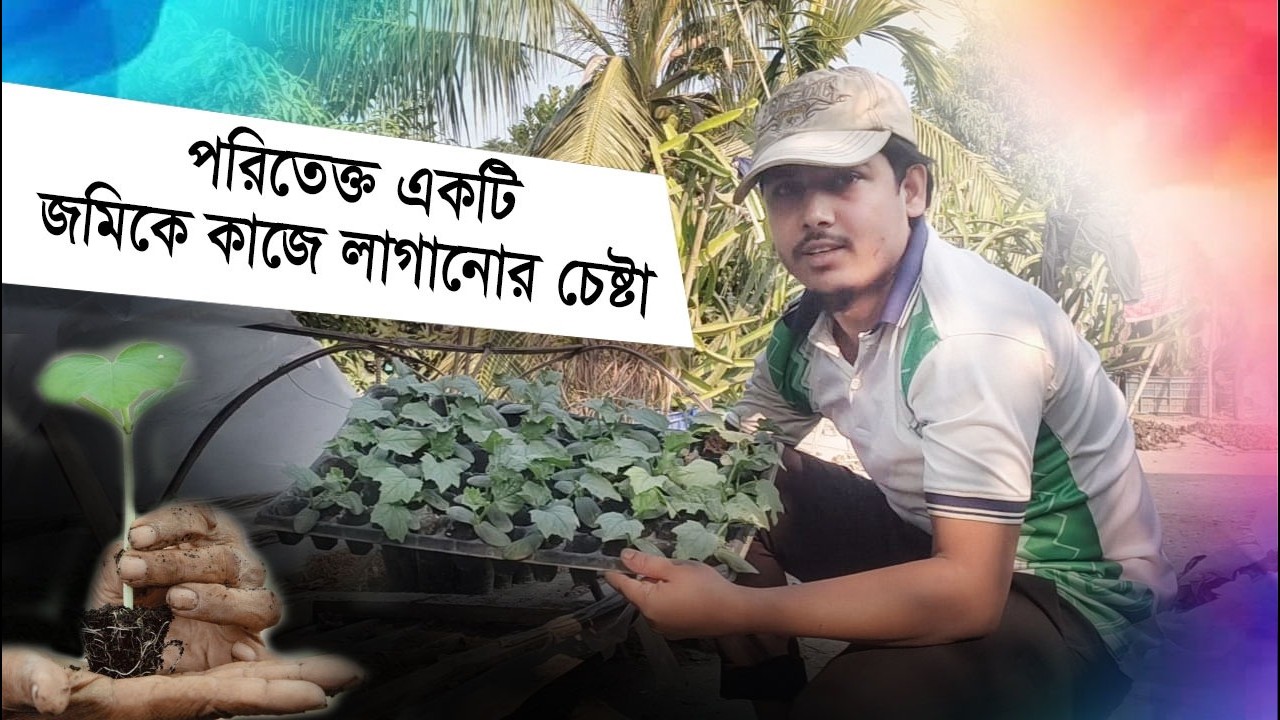 পতিত জমিকে কাজে লাগানোর চেষ্টা