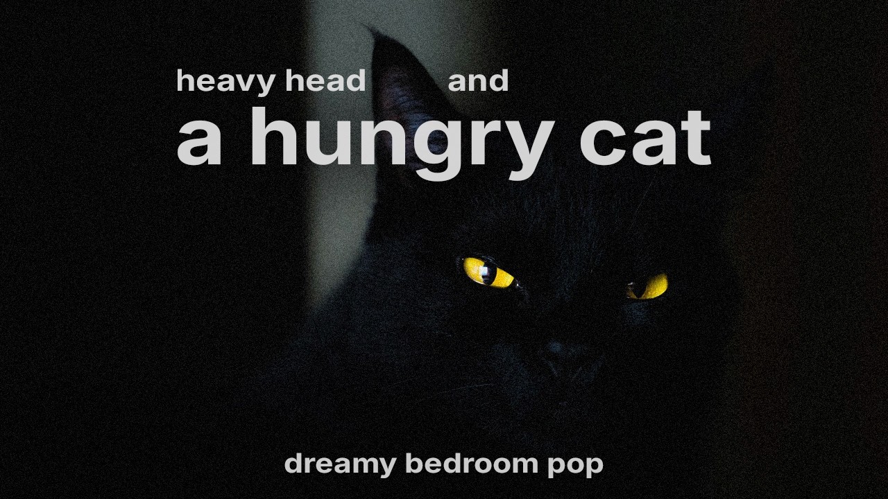 heavy head & a hungry cat (4:37 AM ver.) – drift.away.tonight [Official Audio]