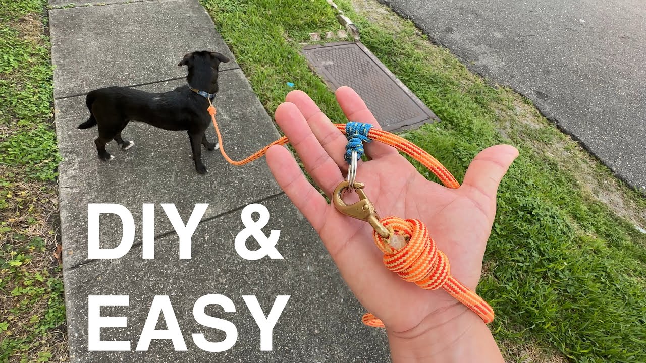 A different DIY dog leash