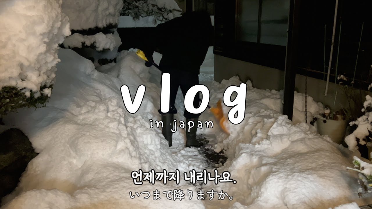 [016]여기가 바로 설국..?❄️/눈이 엄청 온 날, 일본에서의 일상