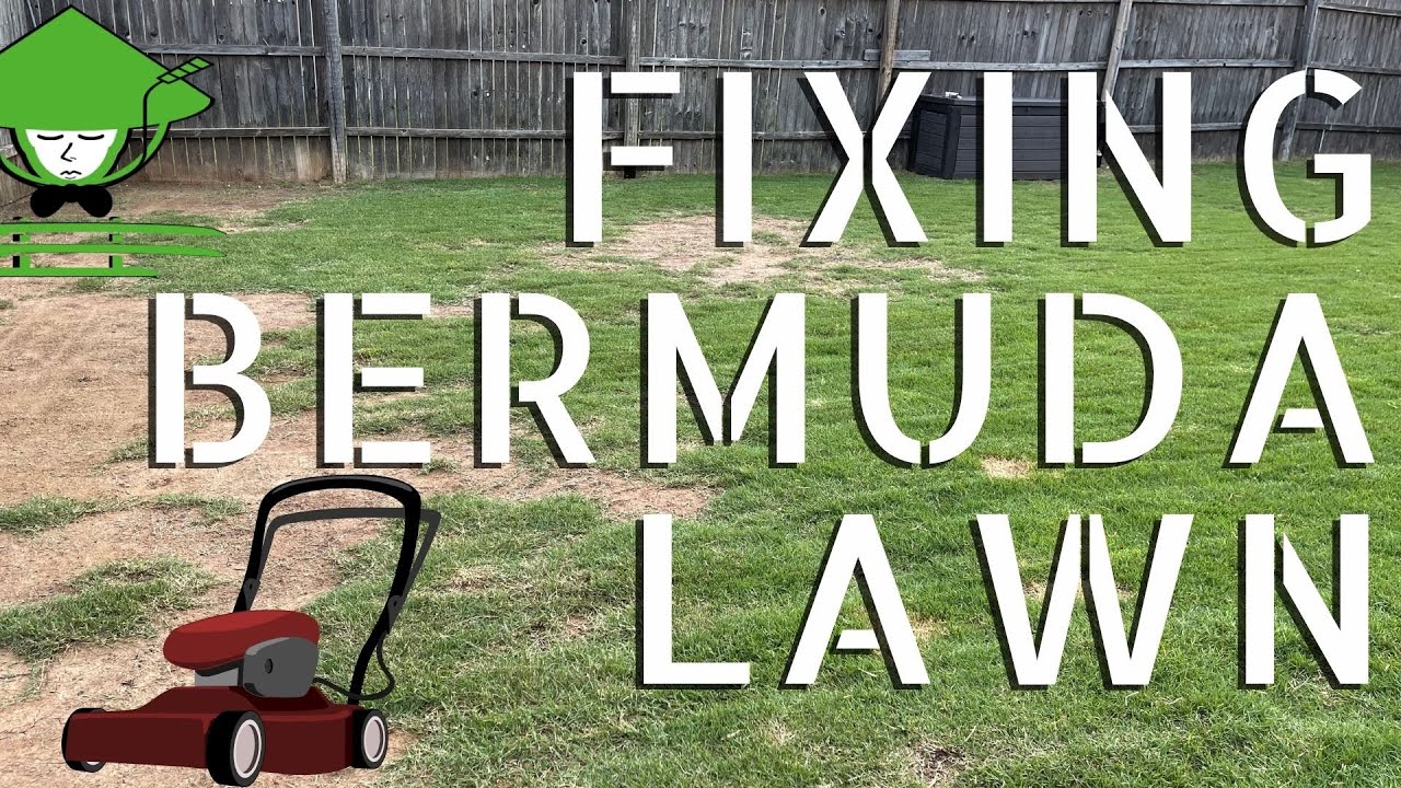 FIXING YOUR LAWN (Bermuda Grass)
