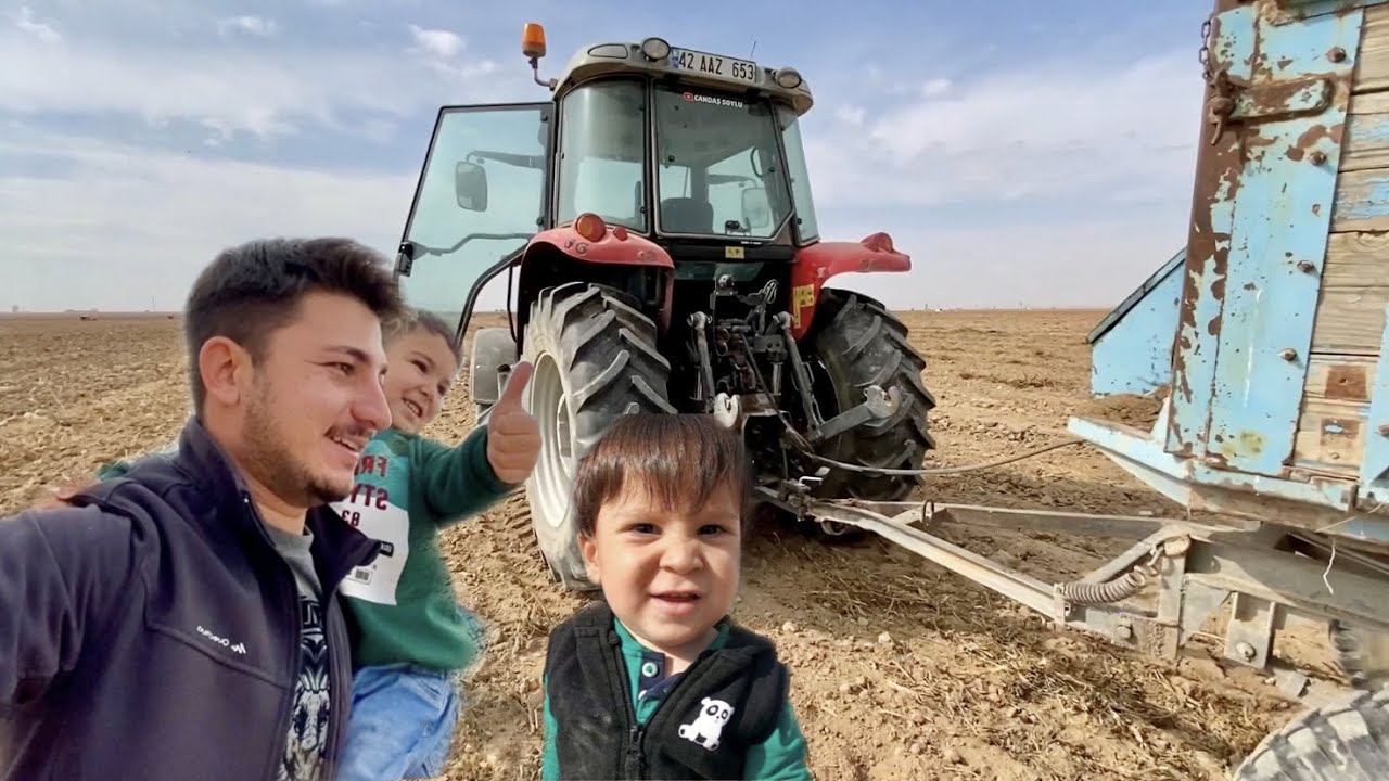 Tarlaya hayvan gübresi döküyoruz