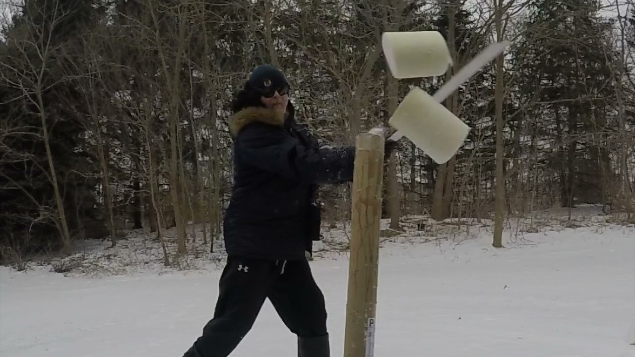 ZhanMaDao first impressions