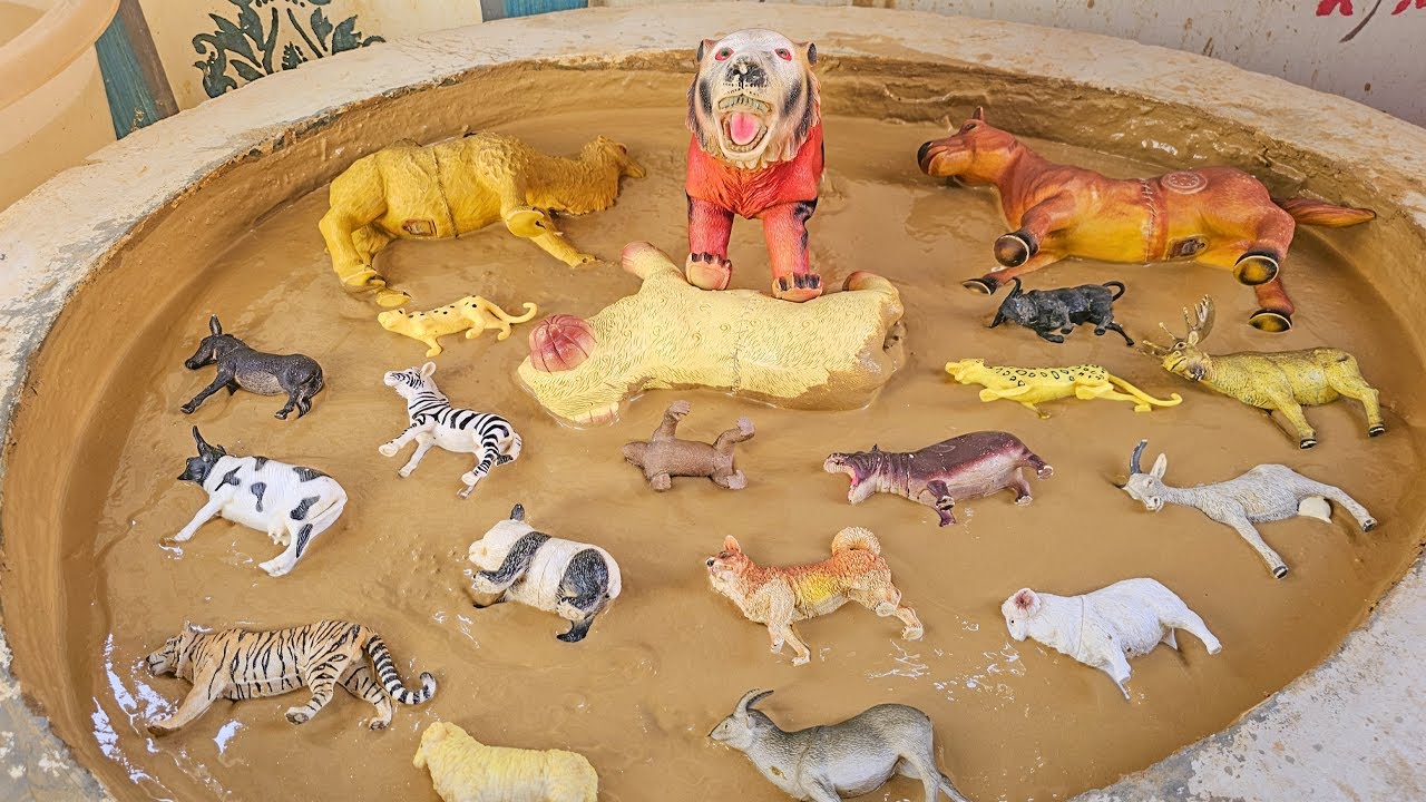 From Farm to Zoo: A Fun-Filled Journey Through the Animal Kingdom!