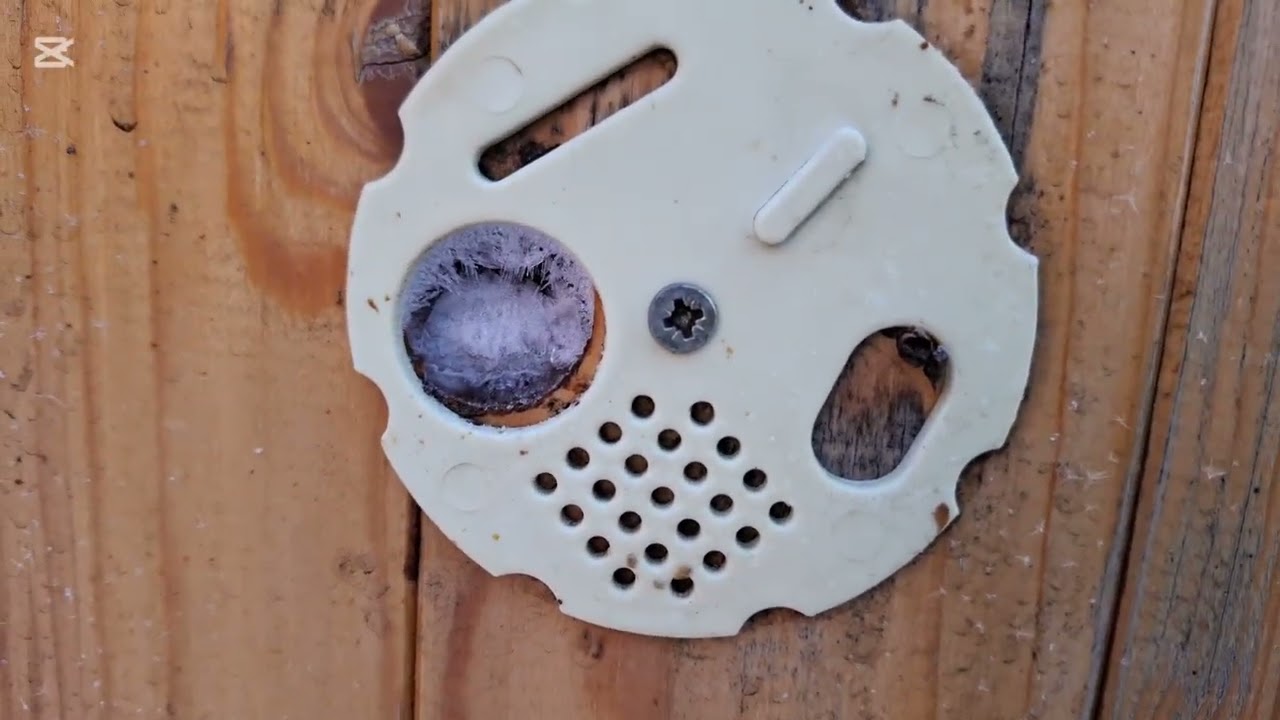 Včely 11.1.26 Písecko - ne/-plodování, zamrzajici očka, ptactvo v zimě u včel