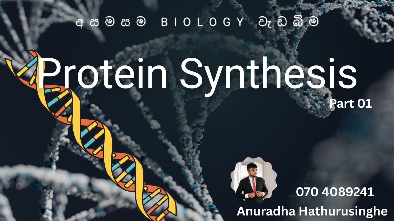 ප්‍රෝටීන සංස්ලේෂනය -1 කොටස