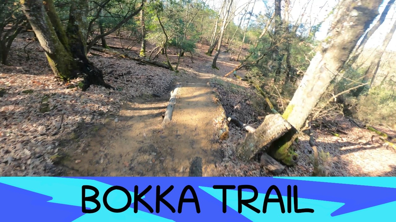 MTB Roveta 21.02.2026 sentiero BOKKA TRAIL