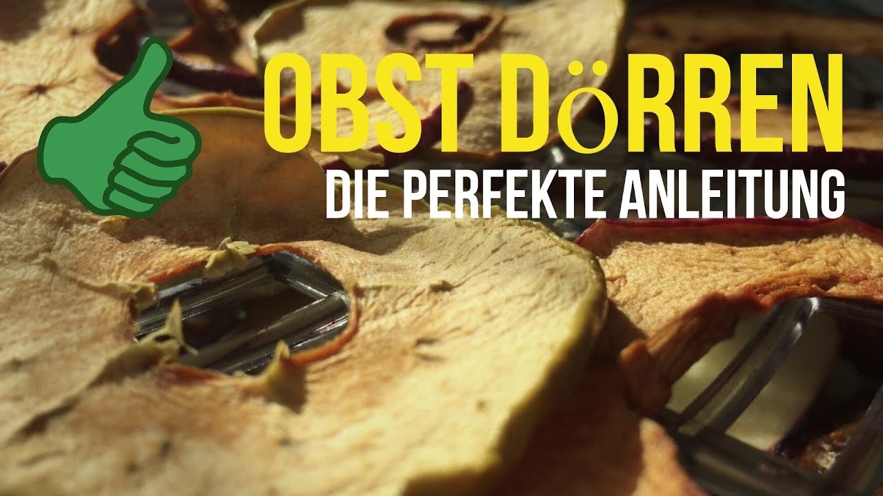 ► Obst d&ouml;rren/trocknen: Die perfekte Anleitung f&uuml;r getrocknete Apfelringe