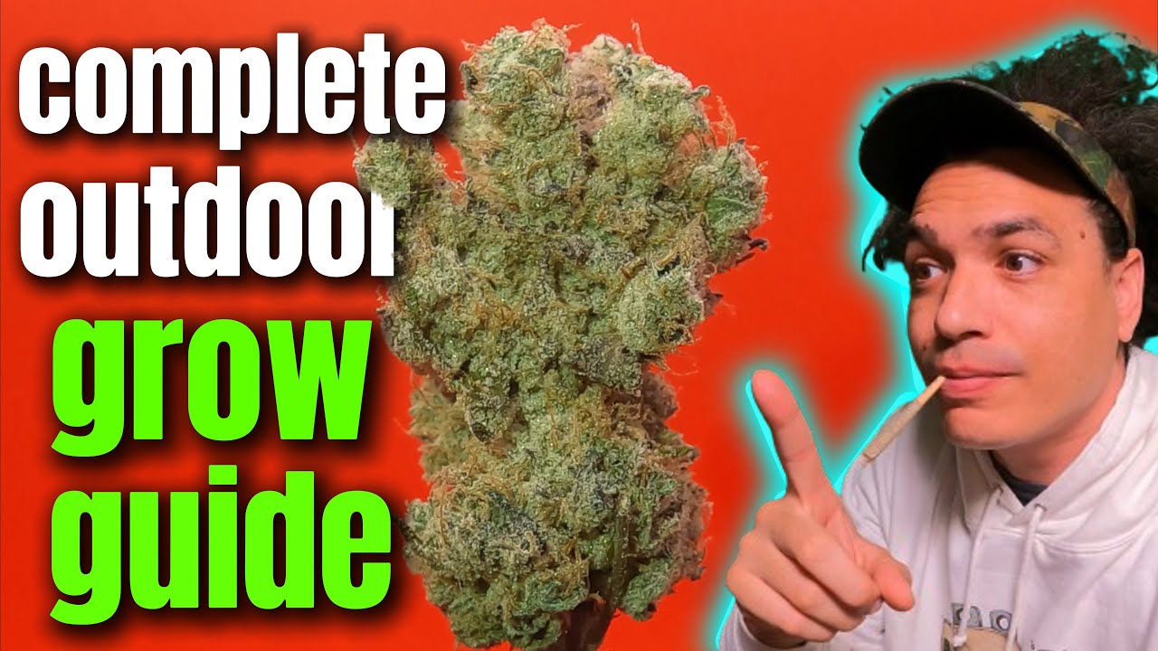 SEED TO HARVEST FULL OUTDOOR GROW GUIDE TO MULTIPLE HARVEST PER SUMMER