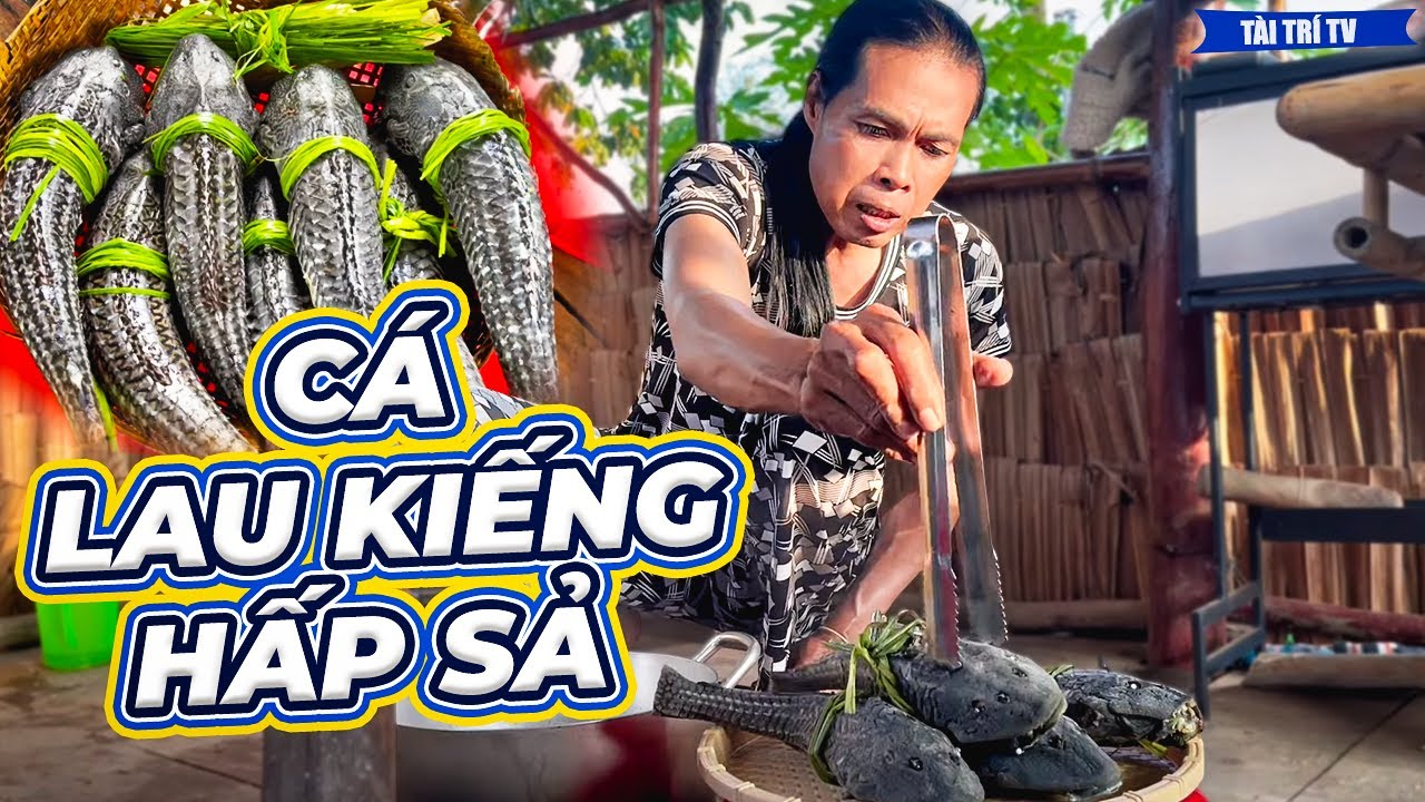 Nay Mộng Kha Ra Đồng Mò Cá Lau Kiếng Về Hấp Sả Đúng Kiểu Miền Tây, Ngon Nhức Cái Nách | Tài Trí TV