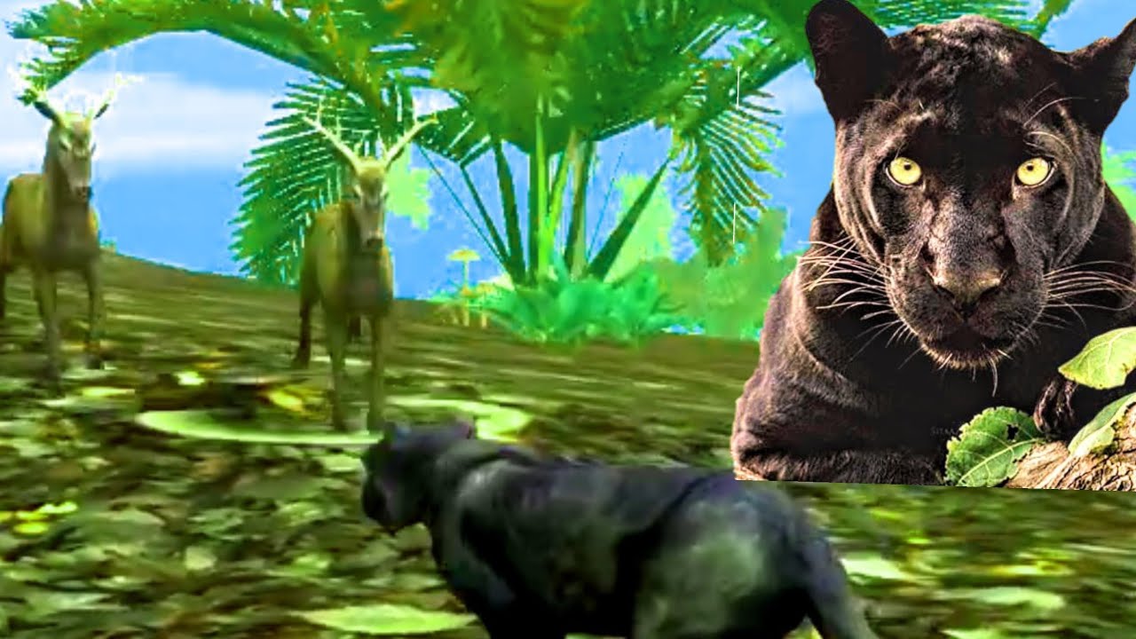 most amazing Big cats hunting attack deer tiger leopard \\ animal game\\