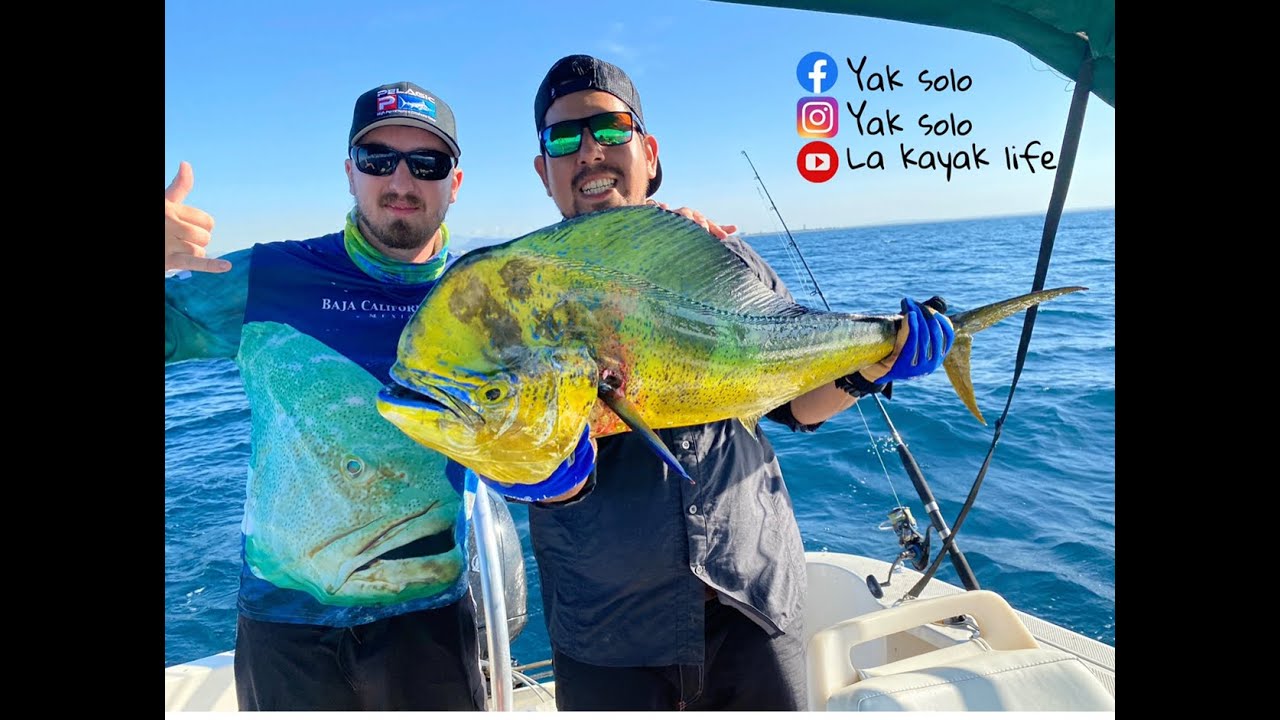 El currican m&aacute;s barato de 1 pesos &hellip; y m&aacute;s efectivo que todos los de Amazon