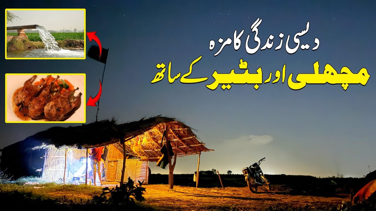 Desi Village Life Vlog | Fishing Shikar Cooking Aur Tubewell Ki Thandak |Travel Trends