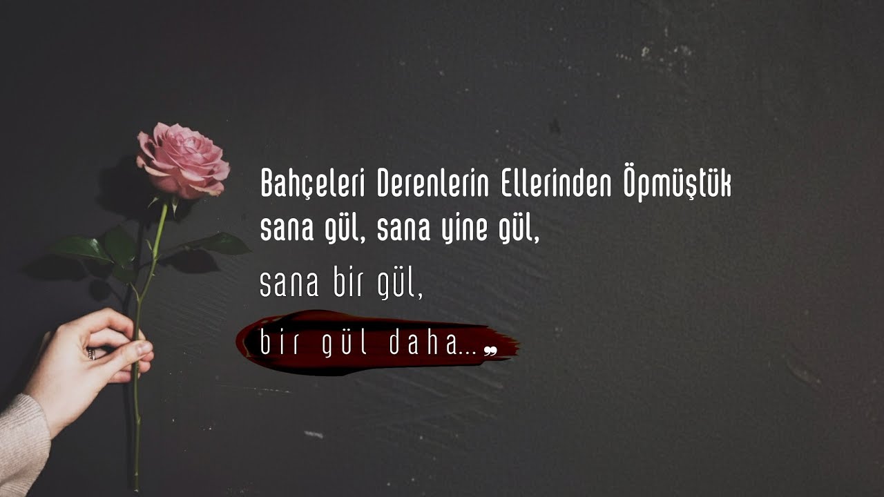 sana bir gül daha...