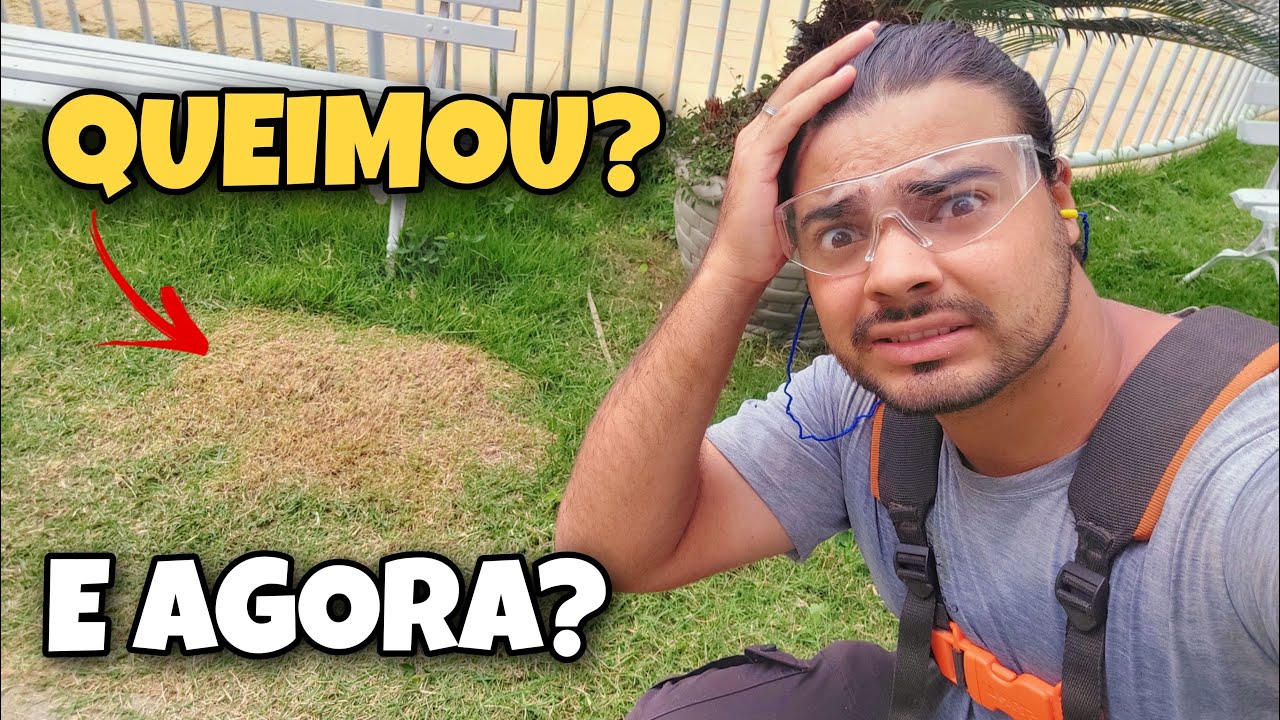 PORQUE A GRAMA FICOU AMARELADA APÓS O CORTE?