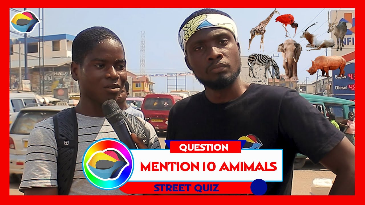 NAME 10 ANIMALS | Street Quiz | Funny Videos | Funny African Videos | African Comedy |