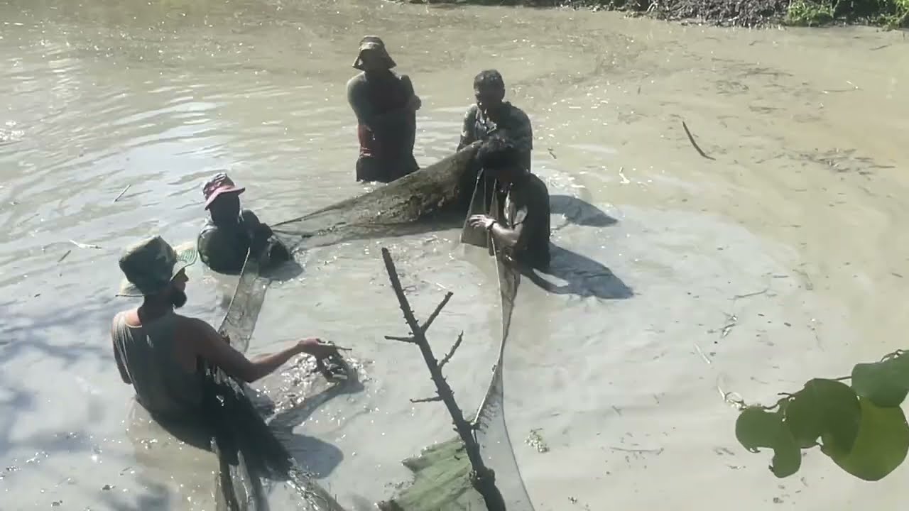 Hassa catching Adventure #iGuyana#Backdam