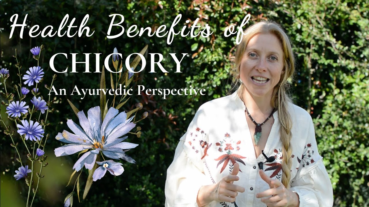 Health Benefits of Chicory: Flowers, Roots & Leaves