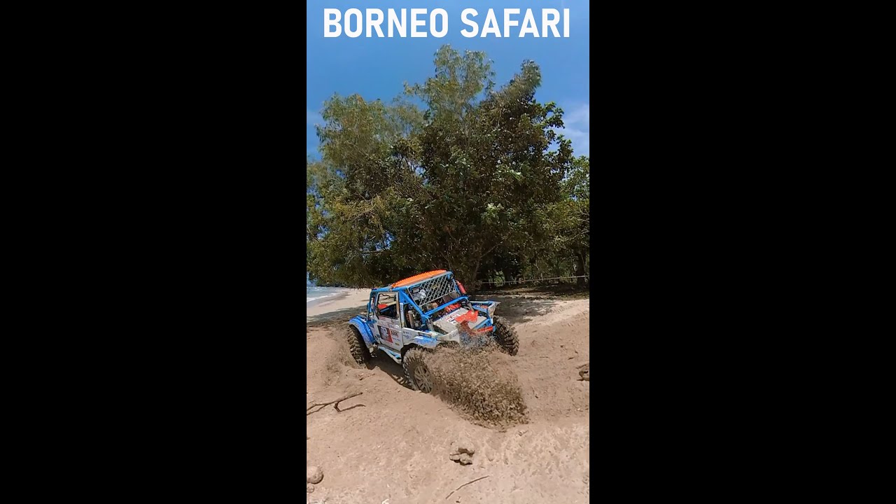 When I'm not running | Borneo Safari 2024 4x4 Challenge | ODEC, UMS