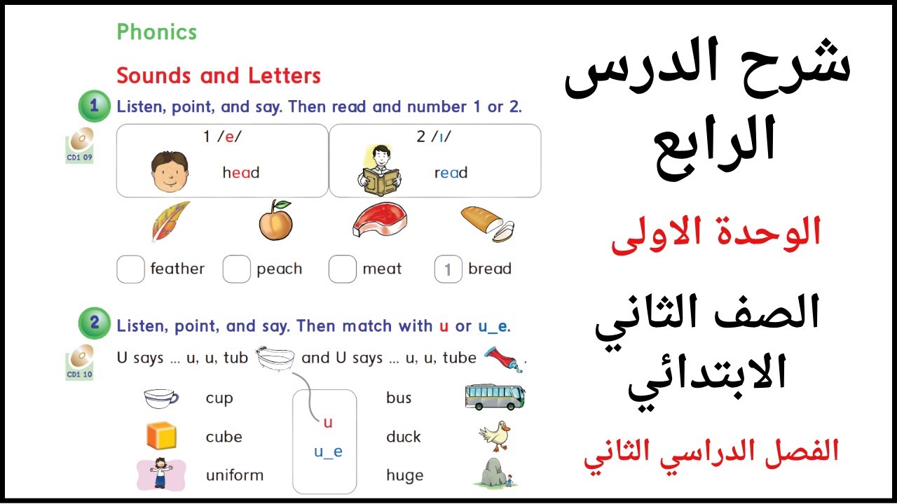 شرح الدرس الرابع الوحدة الأولى انجليزي الصف الثاني الابتدائي الفصل الثاني Phonics
