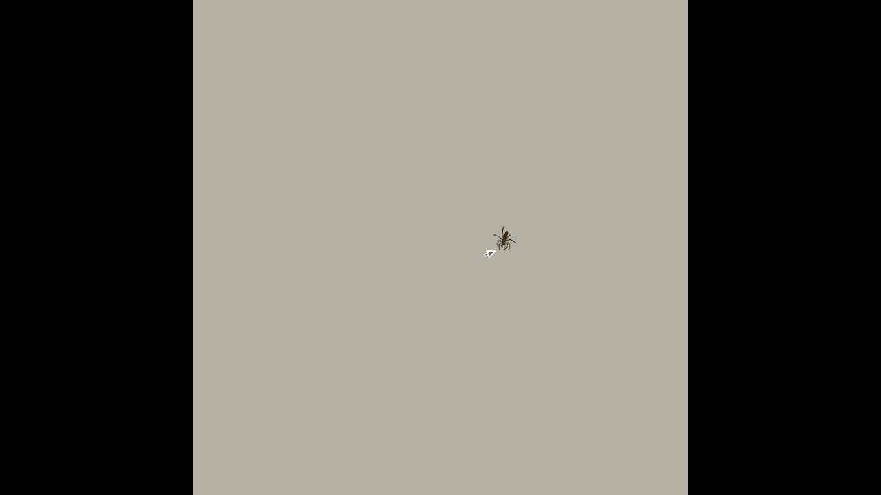 Jayla Kai - More Ghosts in the Computer (visualizer)