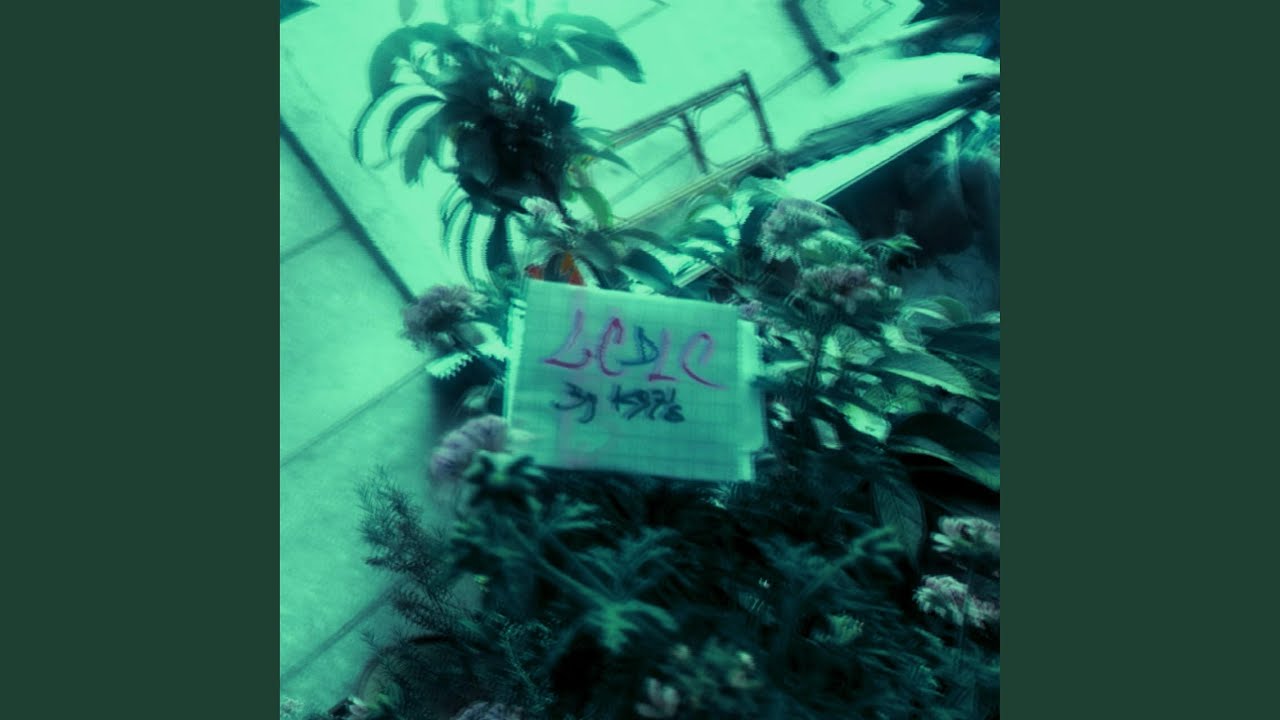 Lcdlc
