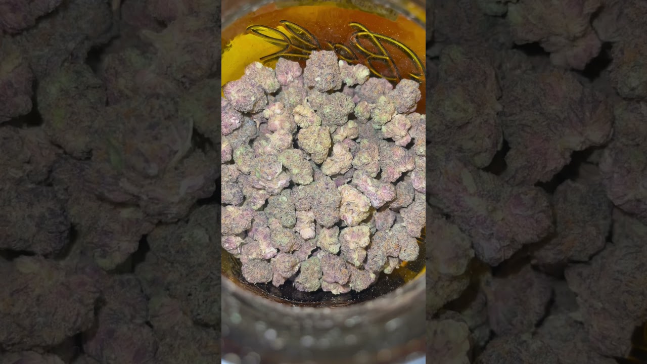 Pink Gruntz 🥵🔥 #420 #flower #thc #shorts
