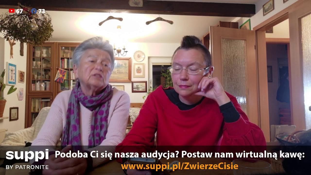 Pytania i odpowiedzi 24 stycznia 2026