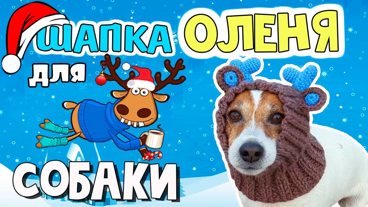 Шапка для собаки своими руками. ШАПКА ОЛЕНЯ для собаки. Наш олень к зиме готов!