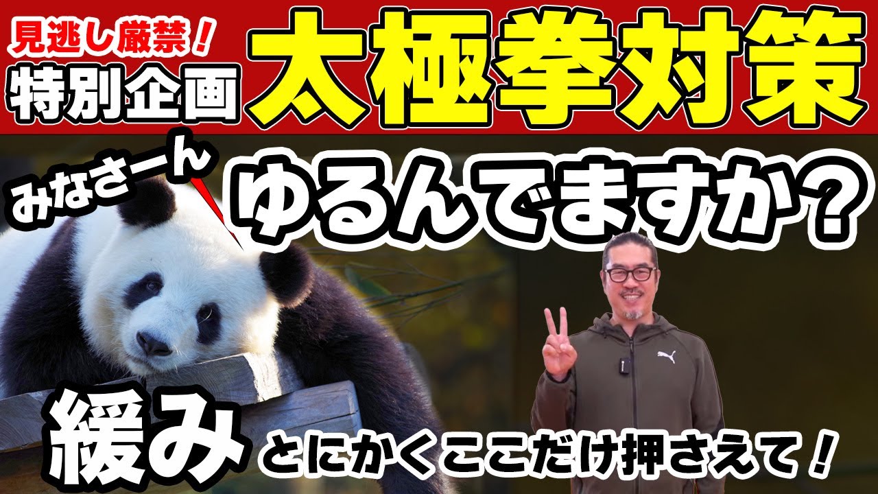 大好評！第二弾【太極拳対策②】ゆるみ！簡化24式太極拳。中村げんこうの太極拳。太極拳が楽しくなる！誰でも楽しく学べる！初心者・健康・瞑想・養生・高齢・陰陽・癒し・学び・喜び・幸福・生きる