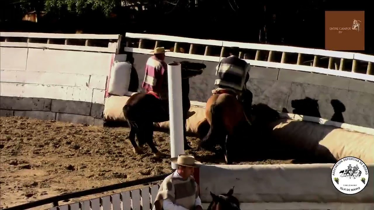 PRIMERA SERIE - RODEO CLUB VALLE VERDE - ASOCIACION TALAGANTE SUR PONIENTE