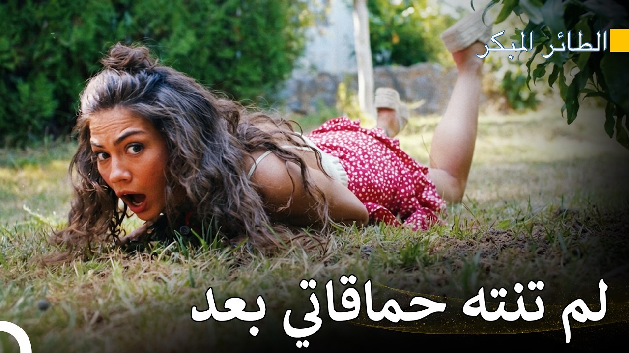 هذه الحماقة بلاء على رأسي - سلسل الطائر المبكر