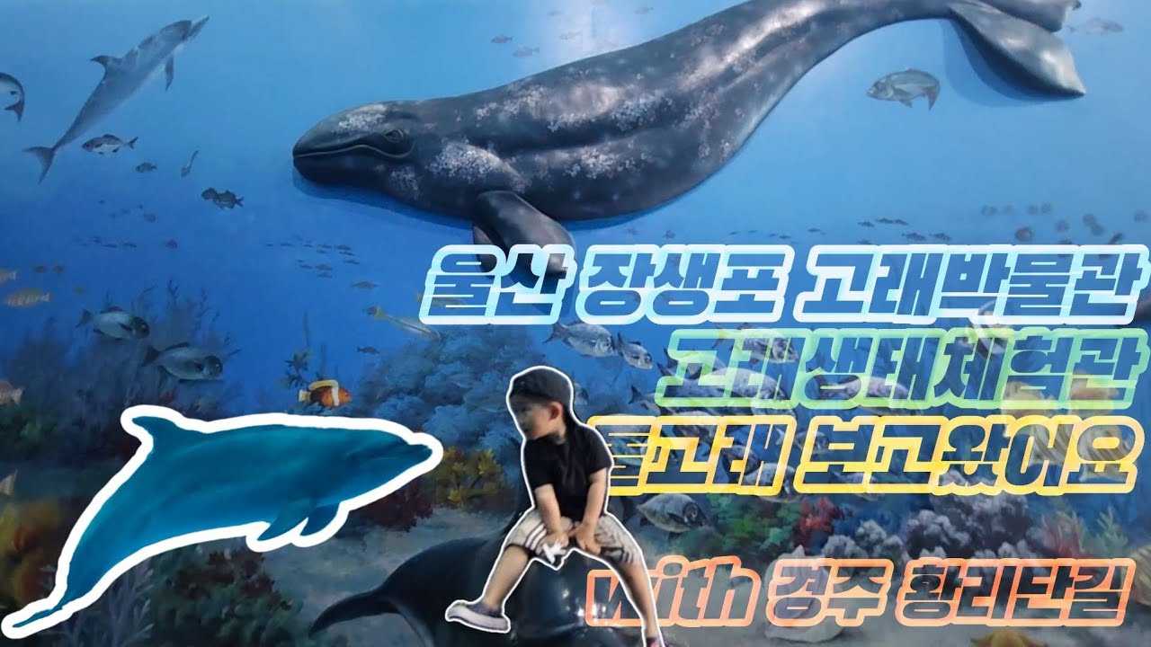 울산 장생포 고래박물관 고래생태체험관 다녀왔어요 | 큰돌고래 보고왔어요 | 경주 황리단길