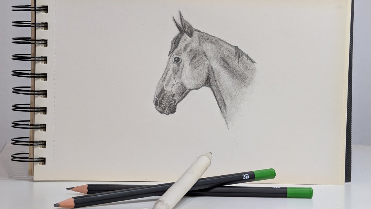 Aprende a dibujar un CABALLO, Técnica: LÁPIZ DE GRAFITO, nivel: AVANZADO