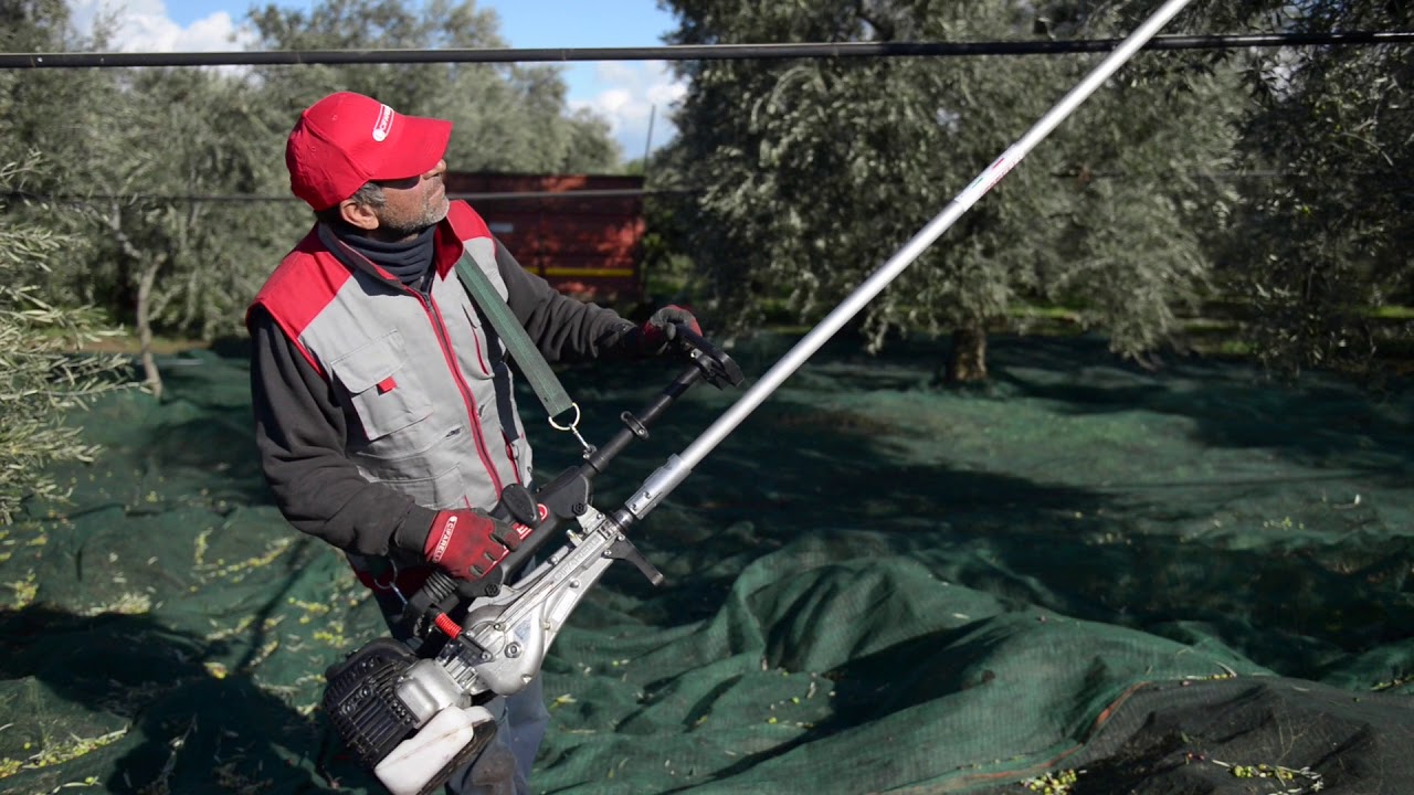 Cifarelli Spa - Scuotitore SC605