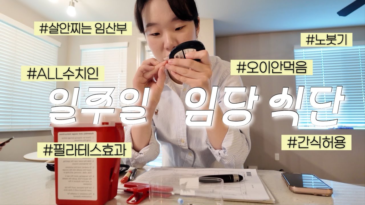 3개월 먹어보고 정착한 올수치인 임당 식단기록 | 오싫모의 식단🥒간식 못끊는 임산부🍩