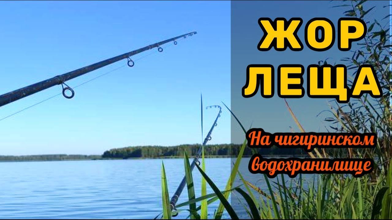 15 кг Леща на фидер. Рыбалка на Чигиринском водохранилище #рыбалка #фидер #fish #лещ