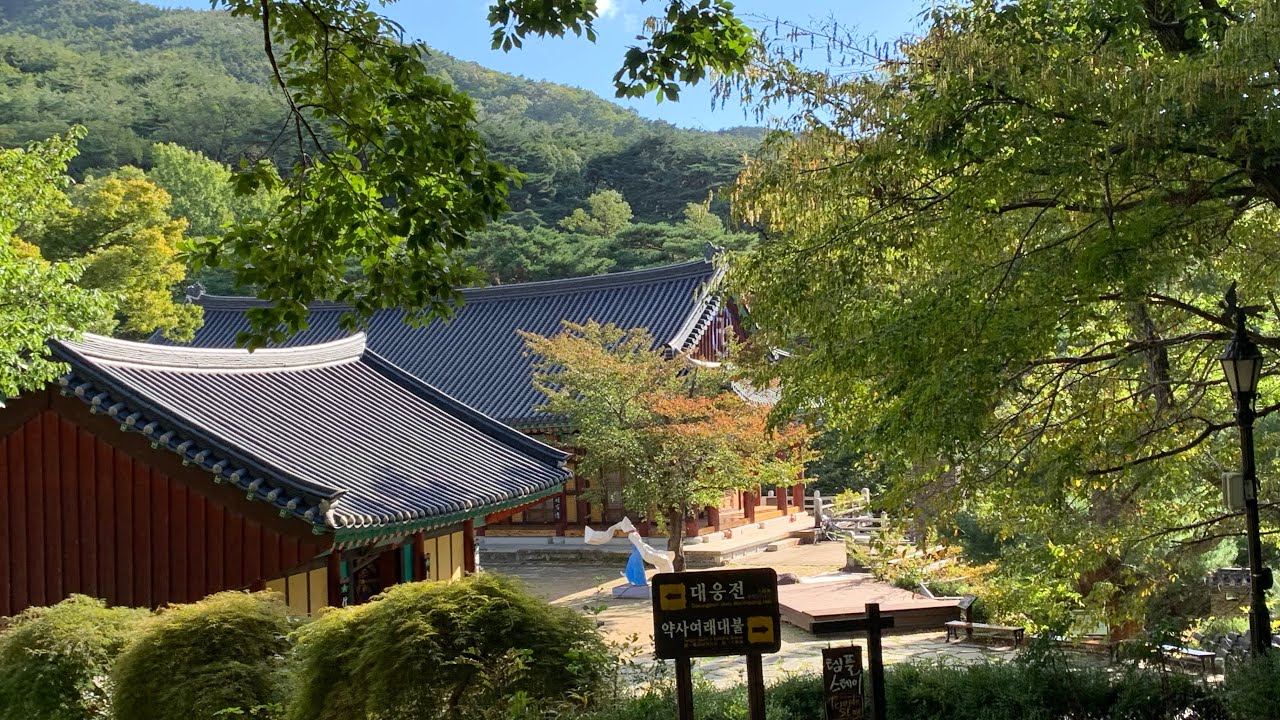 South Korea🇰🇷 #1 - DAEGU - Donghwasa Temple 