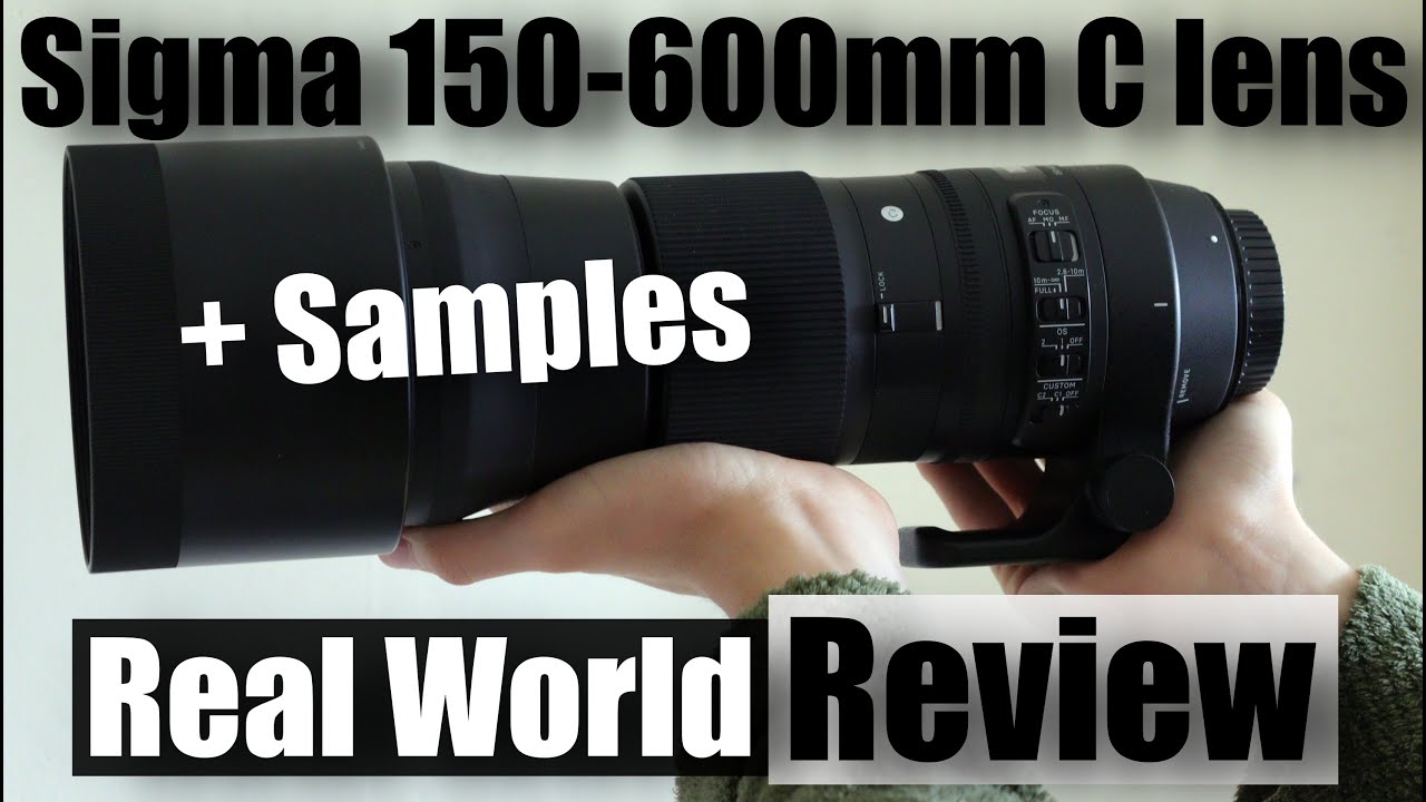 Want SHARP Wildlife Photos? Try the Sigma 150-600mm Lens in 2025