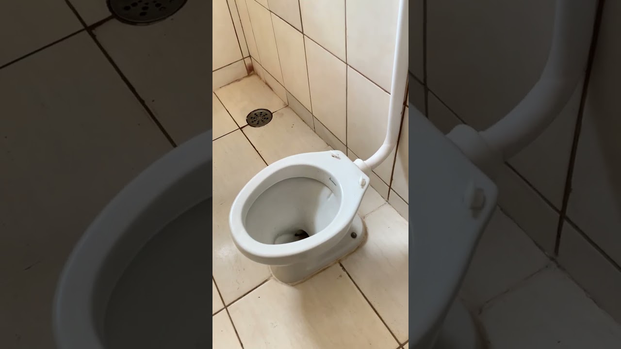Negócio inteligente e rentável !