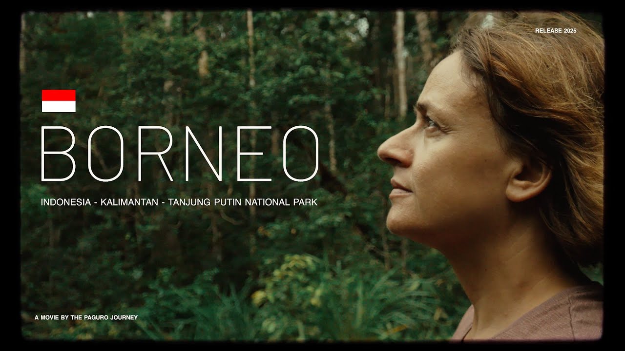 Crociera nella giungla : Incontro con gli Oranghi del Borneo 🦧🌳🇮🇩🌏